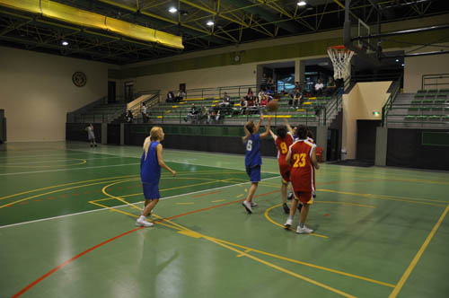 sbbl (93)